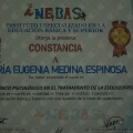 Ampliar imagen: certificate 12