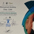 Ampliar imagen: certificate 9