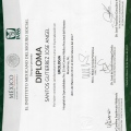Ampliar imagen: certificate 13