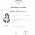 Ampliar imagen: certificate 2