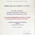 Ampliar imagen: certificate 11