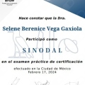 Ampliar imagen: certificate 3