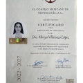 Ampliar imagen: certificate 5