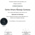 Ampliar imagen: certificate 14