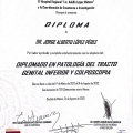Ampliar imagen: certificate 4