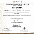 Ampliar imagen: certificate 3