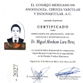 Ampliar imagen: certificate 5