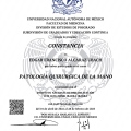 Ampliar imagen: certificate 2