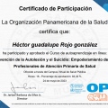 Ampliar imagen: certificate 7