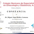 Ampliar imagen: certificate 12