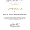 Ampliar imagen: certificate 7