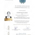 Ampliar imagen: certificate 7