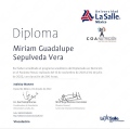 Ampliar imagen: certificate 3