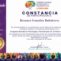 Ampliar imagen: certificate 5