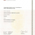 Ampliar imagen: certificate 8