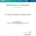 Ampliar imagen: certificate 3