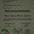 Ampliar imagen: certificate 11