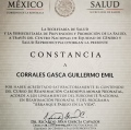 Ampliar imagen: certificate 4