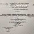 Ampliar imagen: certificate 19