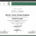 Ampliar imagen: certificate 5