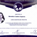 Ampliar imagen: certificate 4