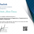 Ampliar imagen: certificate 5