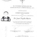 Ampliar imagen: certificate 11