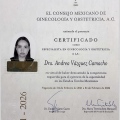 Ampliar imagen: certificate 3