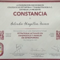 Ampliar imagen: certificate 23