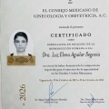 Ampliar imagen: certificate 3