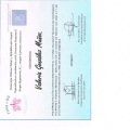 Ampliar imagen: certificate 4