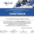 Ampliar imagen: certificate 21