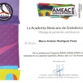 Ampliar imagen: certificate 33