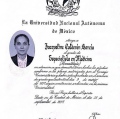 Ampliar imagen: certificate 3