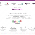 Ampliar imagen: certificate 10
