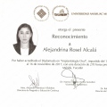 Ampliar imagen: certificate 9