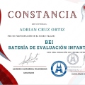Ampliar imagen: certificate 31