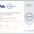 Ampliar imagen: certificate 3