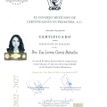 Ampliar imagen: certificate 3