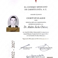 Ampliar imagen: certificate 10