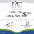Ampliar imagen: certificate 4