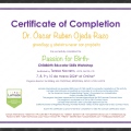 Ampliar imagen: certificate 1