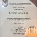 Ampliar imagen: certificate 7