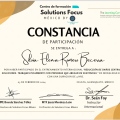 Ampliar imagen: certificate 9