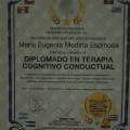 Ampliar imagen: certificate 7