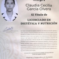 Ampliar imagen: certificate 5