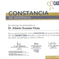 Ampliar imagen: certificate 7