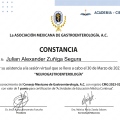 Ampliar imagen: certificate 4
