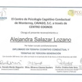 Ampliar imagen: certificate 1