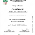 Ampliar imagen: certificate 5